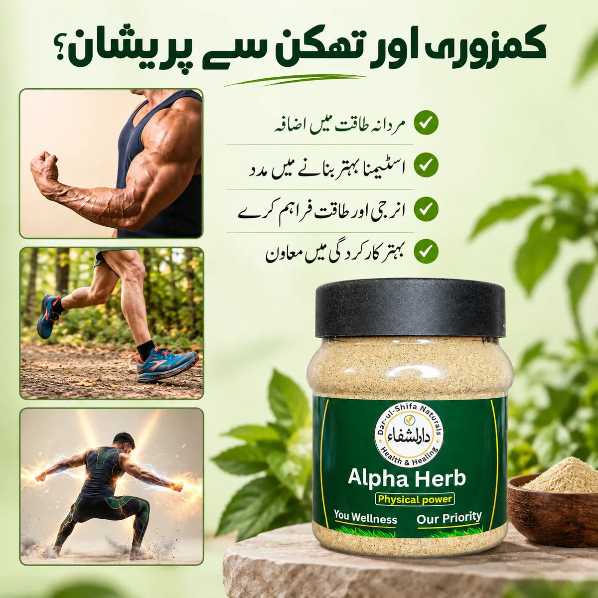 Alpha Herb