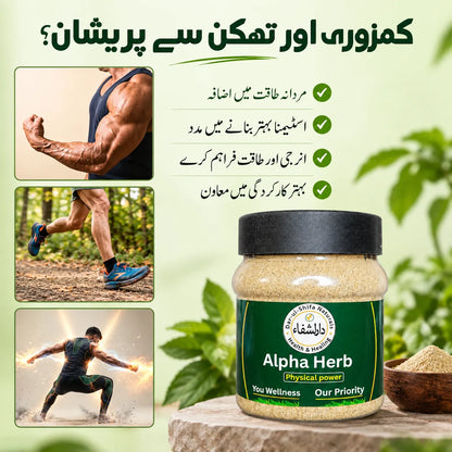 Alpha Herb